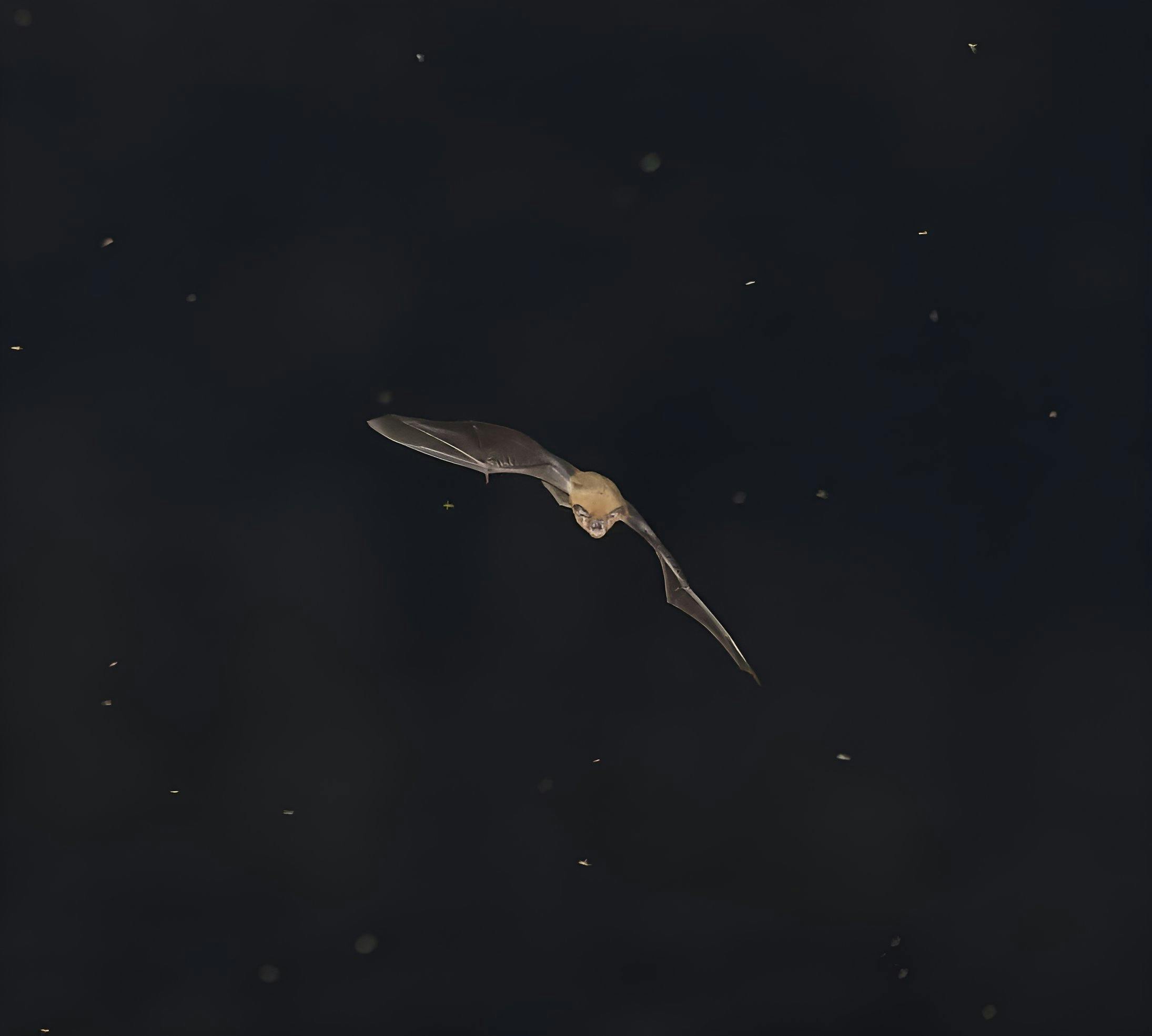 Xiên 3 miền Bắc về cỗ 29-56-52 hôm sau bắt 84-74 | gem88.best - Nhận định, dự báo and một số một số trải nghiệm soi cầu đúng chuẩn